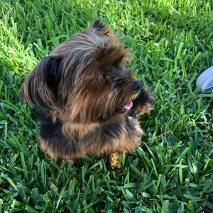 Meet your Posher, Lloyd